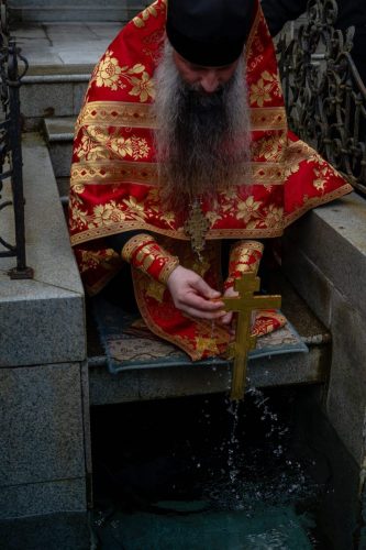 DSC03523.26.04.17.4
