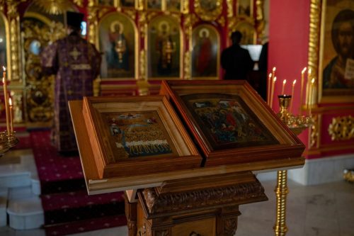 DSC05668.26.03.22