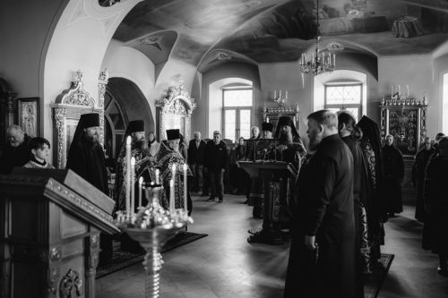 DSC07452.26.03.25