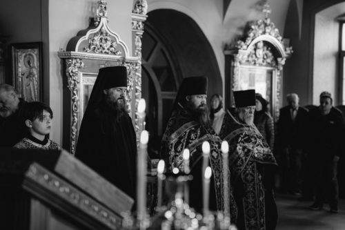 DSC07455.26.03.25