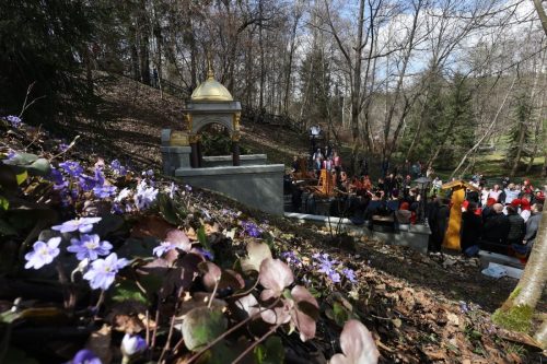 HVM33526.26.04.17.2