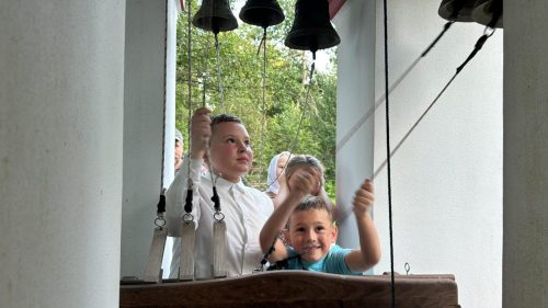 IMG_3881