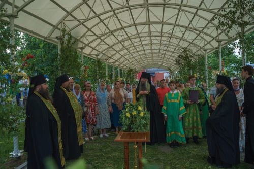 Без имени-6446