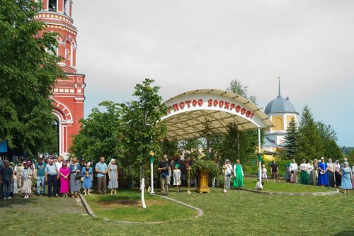 Без имени-6582