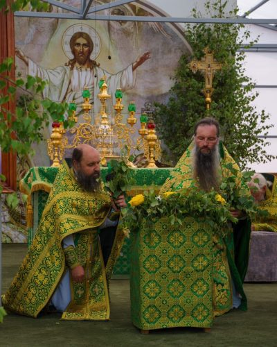 Без имени-6664